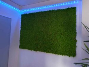 Echt-Moos-Wand